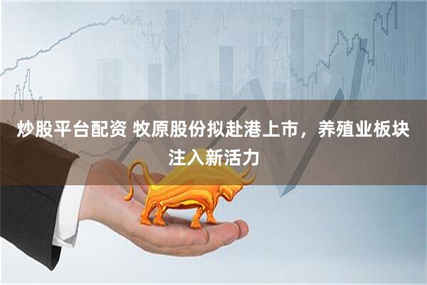 炒股平台配资 牧原股份拟赴港上市，养殖业板块注入新活力