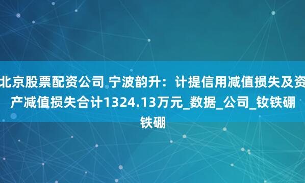 北京股票配资公司 宁波韵升：计提信用减值损失及资产减值损失合计1324.13万元_数据_公司_钕铁硼