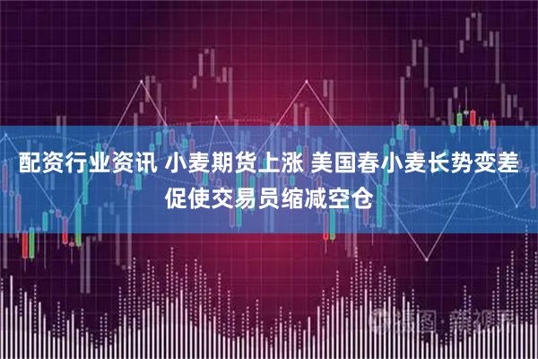 配资行业资讯 小麦期货上涨 美国春小麦长势变差促使交易员缩减空仓